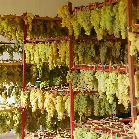 Bauernhof Il Paganello *