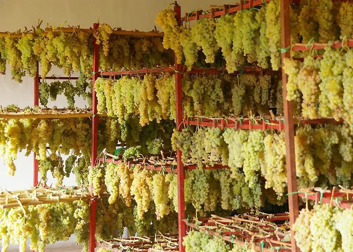 ファームステイ Il Paganello *